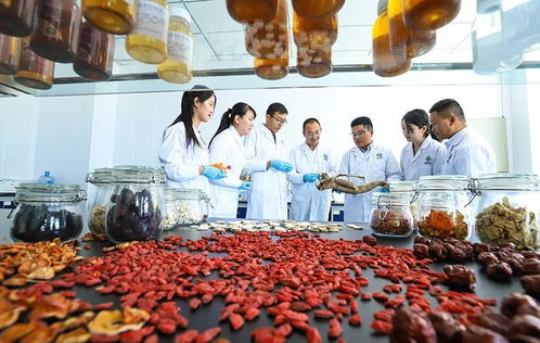 科技賦能，張掖植物工廠助力農特產品提質增效